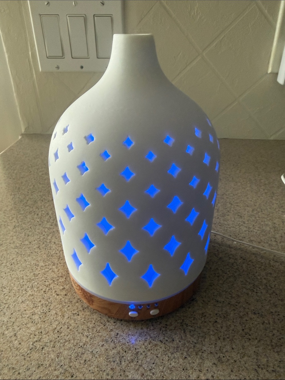 Serene House Ceramic Diffuser